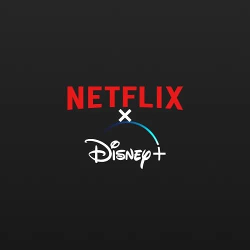 Netflix + Disney Plus Bundle 6 Months Global